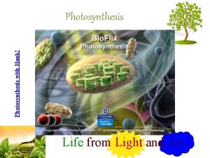 Photosynthesis with Hank Photosynthesis Life from Light and