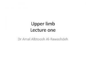 Upper limb Lecture one Dr Amal Albtoosh AlRawashdeh