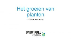 Het groeien van planten 4 Water en voeding