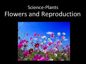 SciencePlants Flowers and Reproduction Parts of a Flower