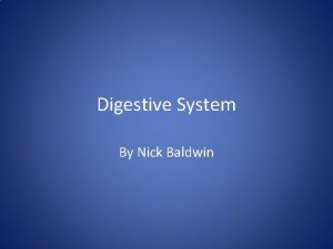 Digestive System By Nick Baldwin Mouth Chewing food