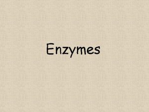 Enzymes Characteristics Almost all Enzymes are Proteins Catalysts