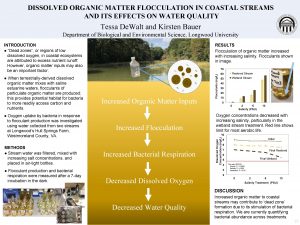 DISSOLVED ORGANIC MATTER FLOCCULATION IN COASTAL STREAMS AND