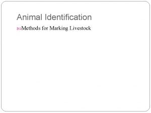 Animal Identification Methods for Marking Livestock Methods of