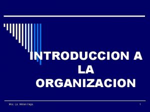 INTRODUCCION A LA ORGANIZACION Msc Lic Mirian Vega