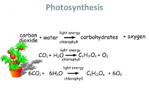 Photosynthesis Pigments of Photosynthesis Pigments are molecules that