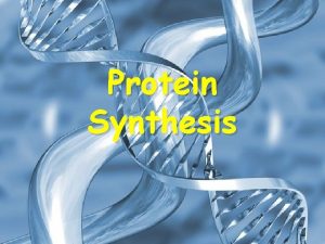 Protein Synthesis From Gene to Protein DNA acts