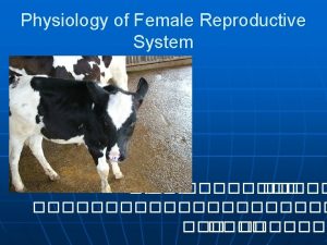 Physiology of Female Reproductive System Physiology of female