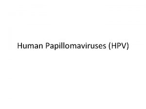 Human Papillomaviruses HPV Acknowledgment Addis Ababa University Jimma