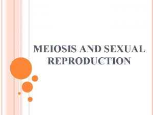 MEIOSIS AND SEXUAL REPRODUCTION SEXUAL REPRODUCTION Benefits Creates