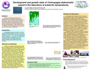 Development and growth rates of Centropages abdominalis reared