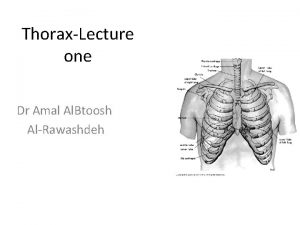 ThoraxLecture one Dr Amal Al Btoosh AlRawashdeh THORACIC