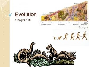 Evolution Chapter 16 Early Theory of Evolution Lamarck