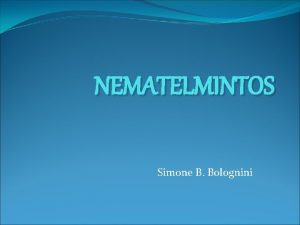 NEMATELMINTOS Simone B Bolognini O nome do filo