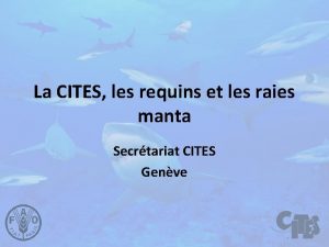 La CITES les requins et les raies manta