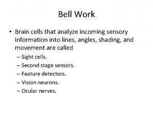 Bell Work Brain cells that analyze incoming sensory