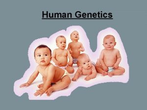 Human Genetics A Hemophilia 1 Lack of a