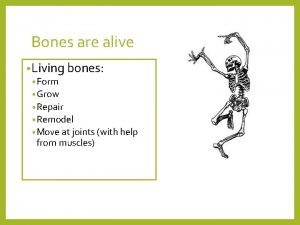 Bones are alive Living bones Form Grow Repair