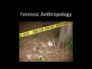 Forensic Anthropology Forensic Anthropology https www youtube comwatch