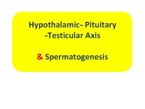 Hypothalamic Pituitary Testicular Axis Spermatogenesis Testis Functions Sperm