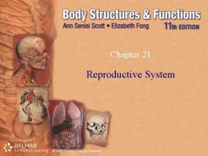 Chapter 21 Reproductive System 2009 Delmar Cengage Learning