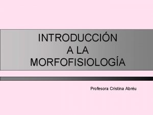 INTRODUCCIN A LA MORFOFISIOLOGA Profesora Cristina Abru Morfologa