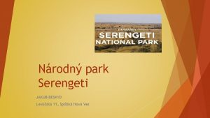 Nrodn park Serengeti JAKUB BESKYD Levosk 11 Spisk