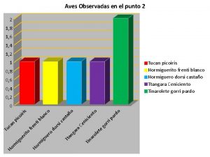 Aves Observadas en el punto 2 2 1