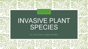 INVASIVE PLANT SPECIES By Grace Kenyon Maddie Woodfield