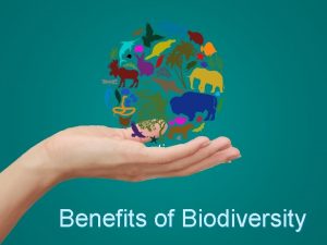 Section 3 Benefits of Biodiversity Does Biodiversity Matter