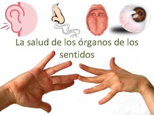 La salud de los rganos de los sentidos