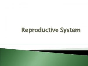 Reproductive System Male Reproductive System Female Sex Hormones