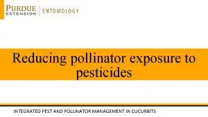 Reducing pollinator exposure to pesticides INTEGRATED PEST AND