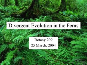 Divergent Evolution in the Ferns Botany 209 25