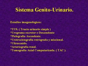 Sistema GenitoUrinario Estudios imagenolgicos TUS Tracto urinario simple
