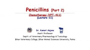 Penicillins Part 2 Chemotherapy VPT411 Lecture11 Dr Kumari