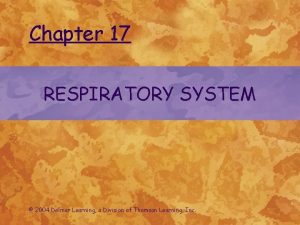 Chapter 17 RESPIRATORY SYSTEM 2004 Delmar Learning a