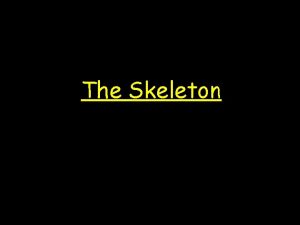 The Skeleton Bones of the human skeleton You