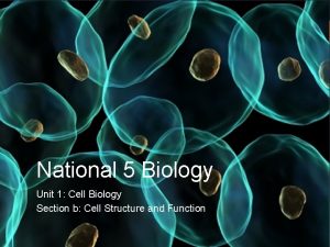 National 5 Biology Unit 1 Cell Biology Section