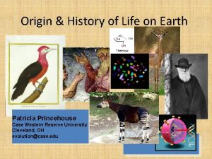 Origin History of Life on Earth Patricia Princehouse