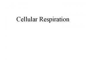 Cellular Respiration Living cells Require transfusions of energy