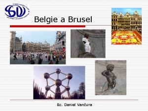 Belgie a Brusel Bc Daniel Vanura Belgick regionln