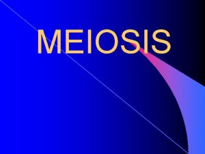 MEIOSIS Chromosome Number Diploid 2 N Homologous Cell