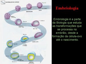 Embriologia a parte da Biologia que estuda as