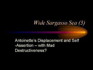Wide Sargasso Sea 3 Antoinettes Displacement and Self