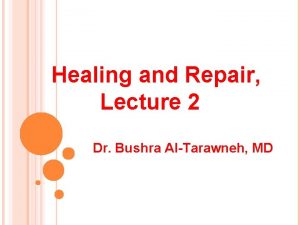 Healing and Repair Lecture 2 Dr Bushra AlTarawneh