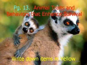Pg 13 Animal Traits and Behaviors that Enhance
