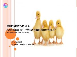 MUZIKIN VEIKLA ANIUK GR MUZIKIN SKRYNEL BALANDIO 20