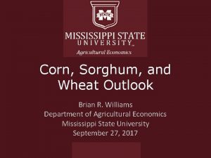 Corn Sorghum and Wheat Outlook Brian R Williams