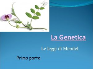 La Genetica Le leggi di Mendel Prima parte